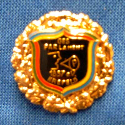 Goldene Ehren-Nadel